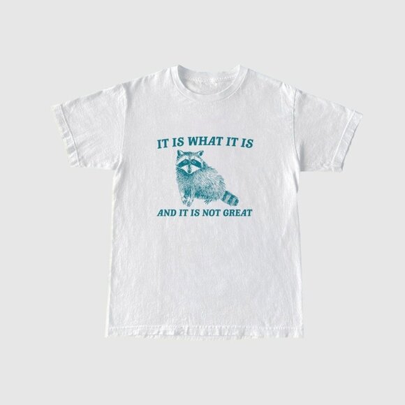 It Is What It Is Not Great Raccoon Meme Funny Vintage T-Shirt 81 - Picture 1 of 5